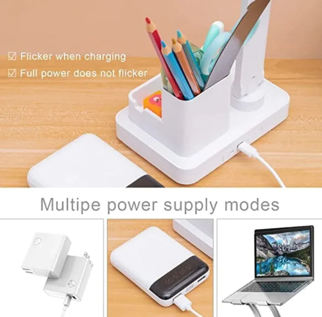 Dual-Head LED Desk Lamp